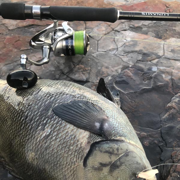 Take A Closer Look At This Braid