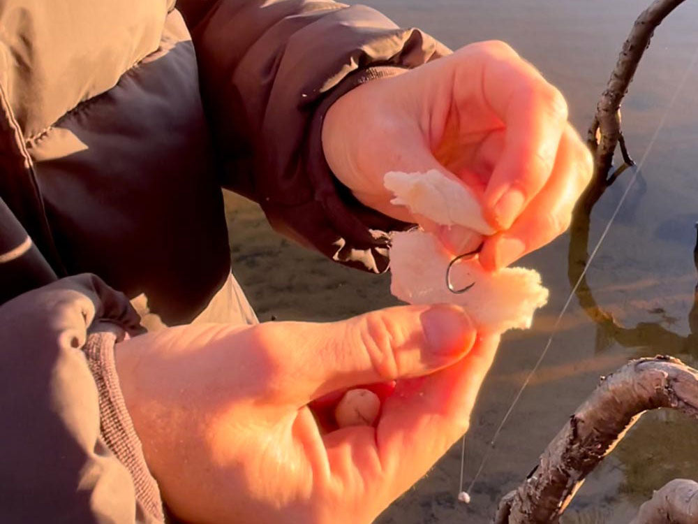 The Easiest Way To Fish - Fishing With Bread banner image