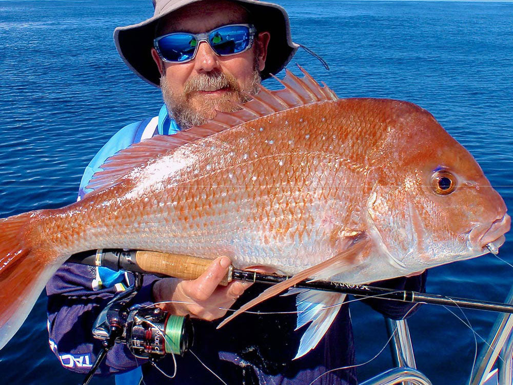 Snapper Fishing In Close
