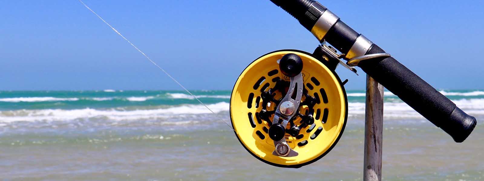 Alvey Fishing Reels
