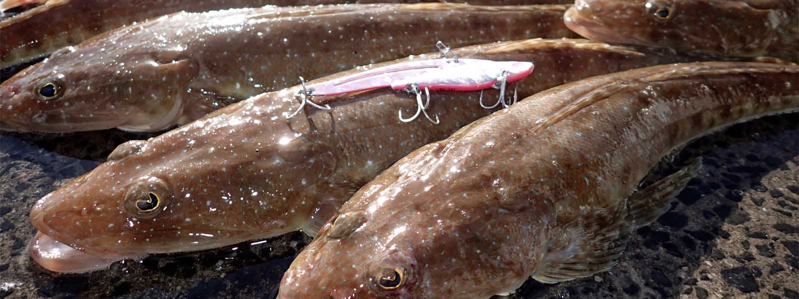 Blades & Hard Vibes Lures