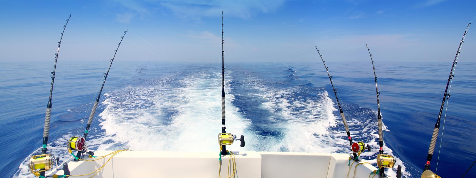 Game Fishing Banner Image