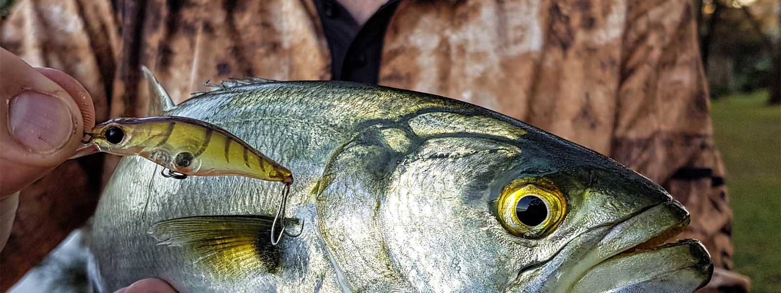 Hard Body Lures