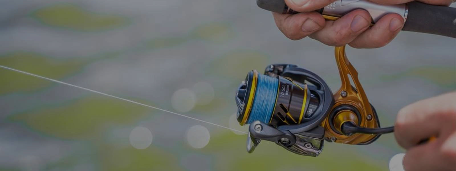 Spinning Reels
