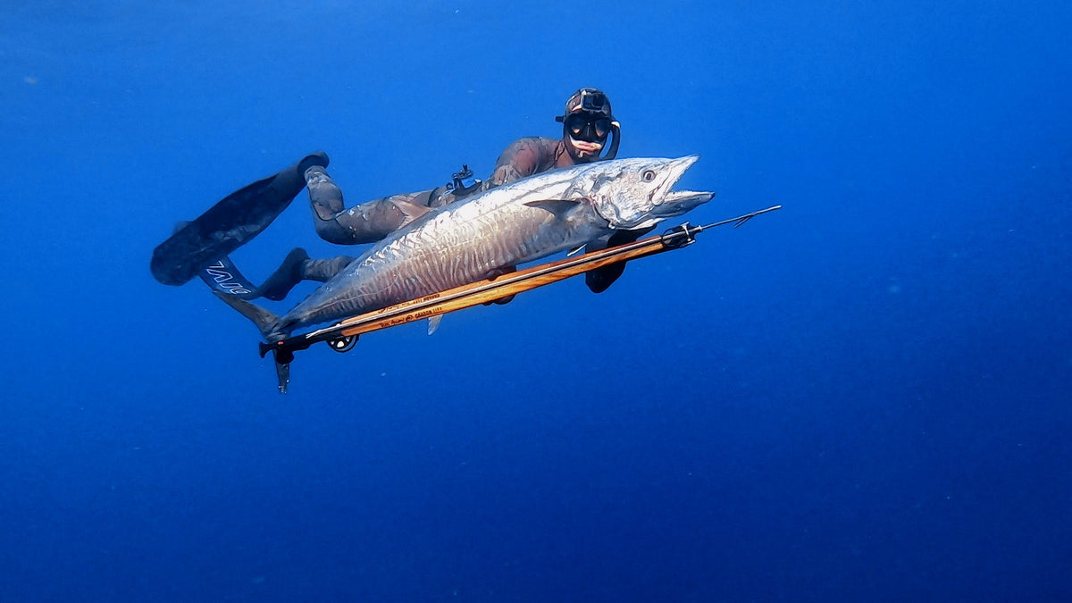 Rob Allen Timberline Roller w/ Reel + Line