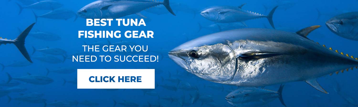 Best tuna fishing gear desktop banner image with a school of tuna swimming underwater