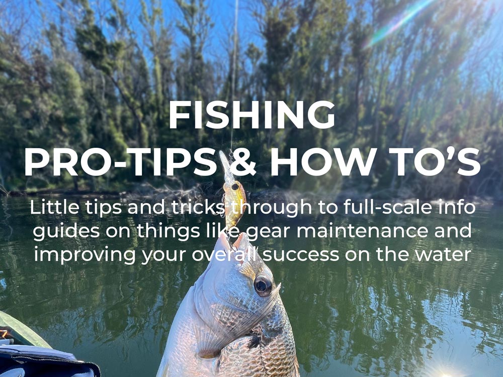 Fishing Pro Tips & How To's