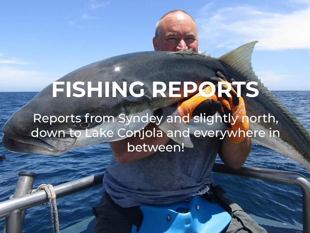 Fishing Reports Blog Post Banner Image