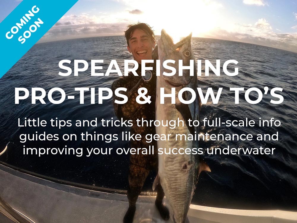 Spearfishing Pro Tips and How To's Coming Soon