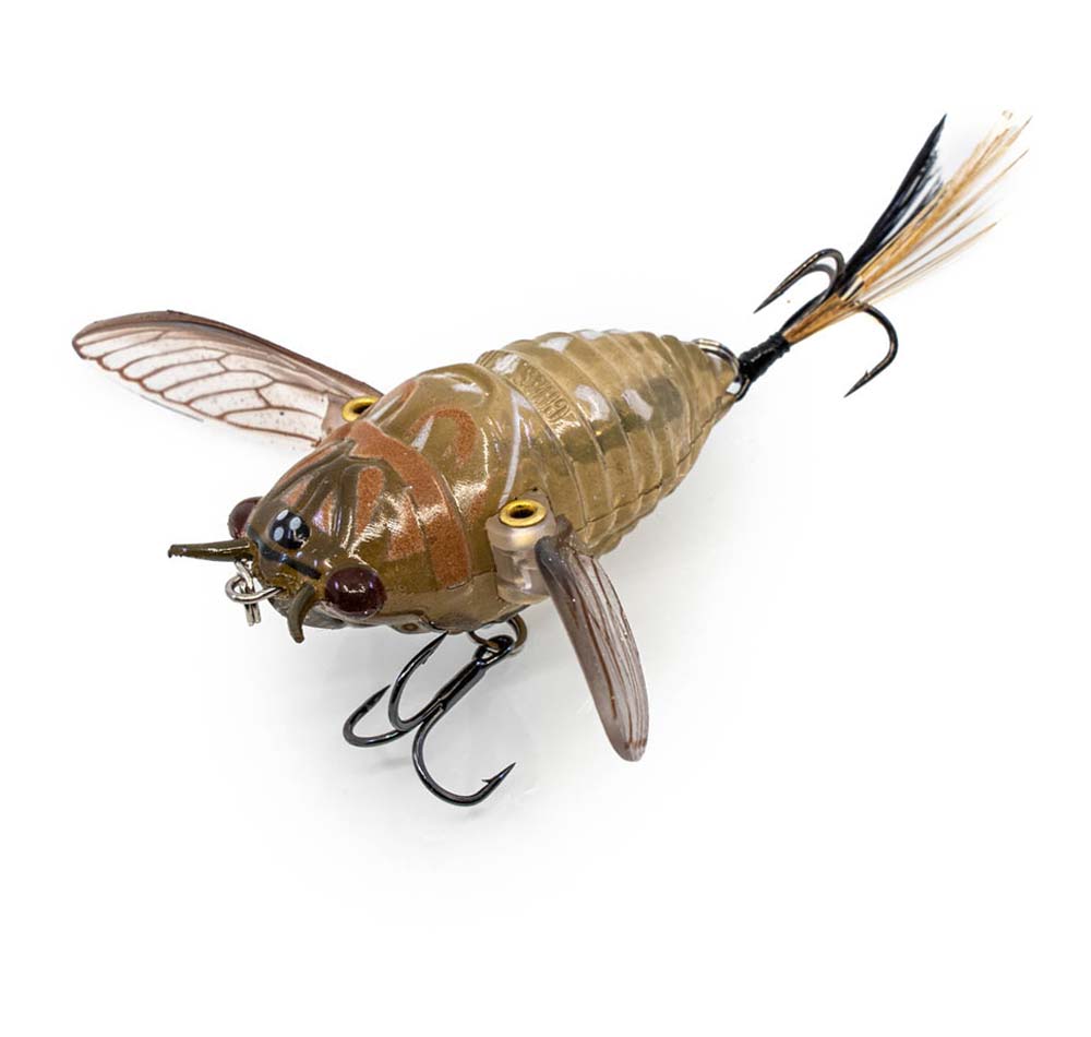Chasebaits Ripple Cicada 55mm Lure