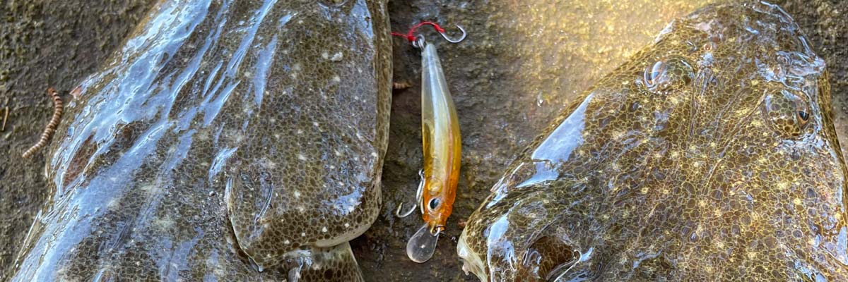 Flathead Fishing Gear Desktop Banner Image