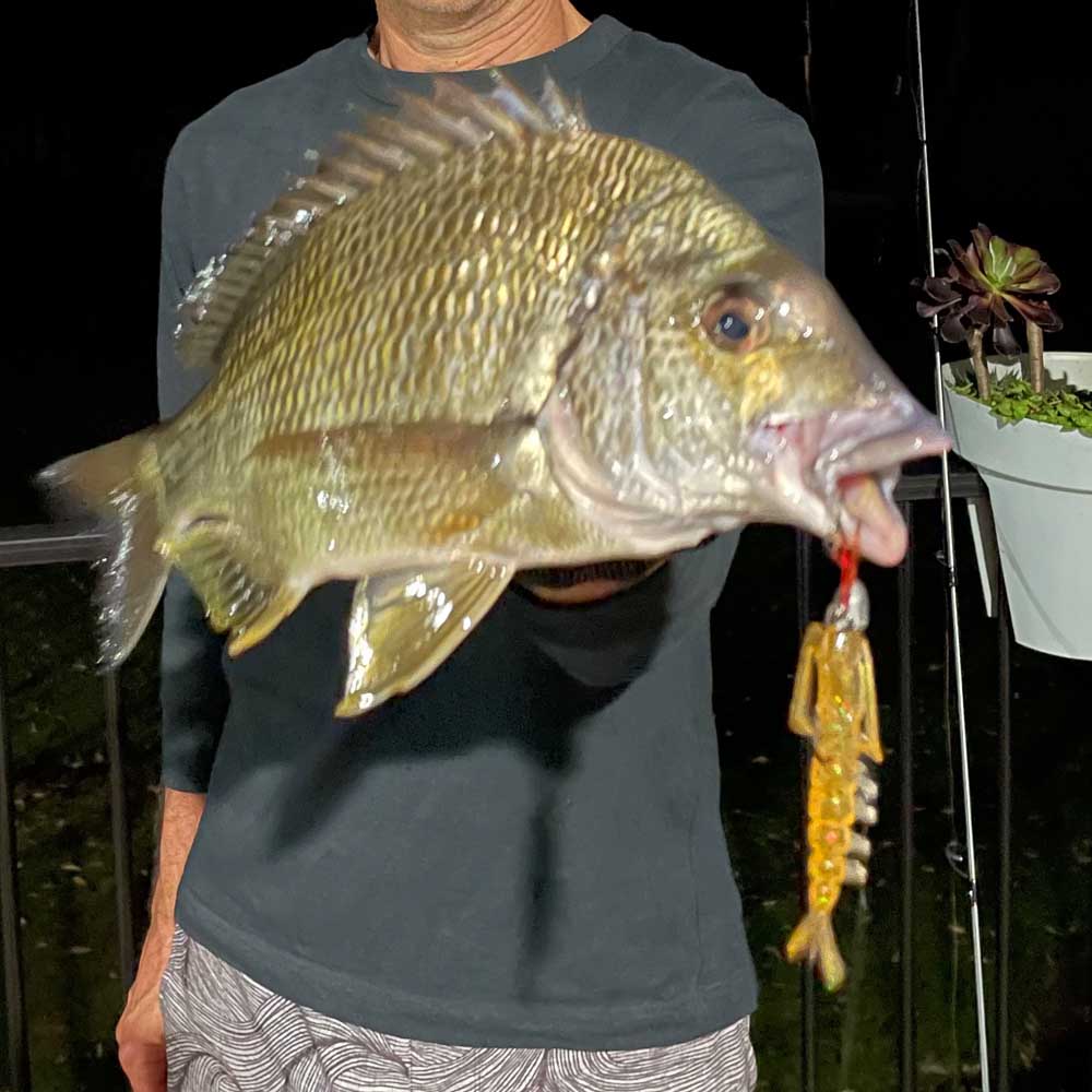 Man holding a Bream with a Jackson Puri Ebi Soft Plastic in its mouth