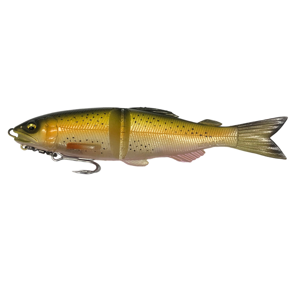 Megabass Magdraft Ayu Twitcher Lure Rainbow Trout