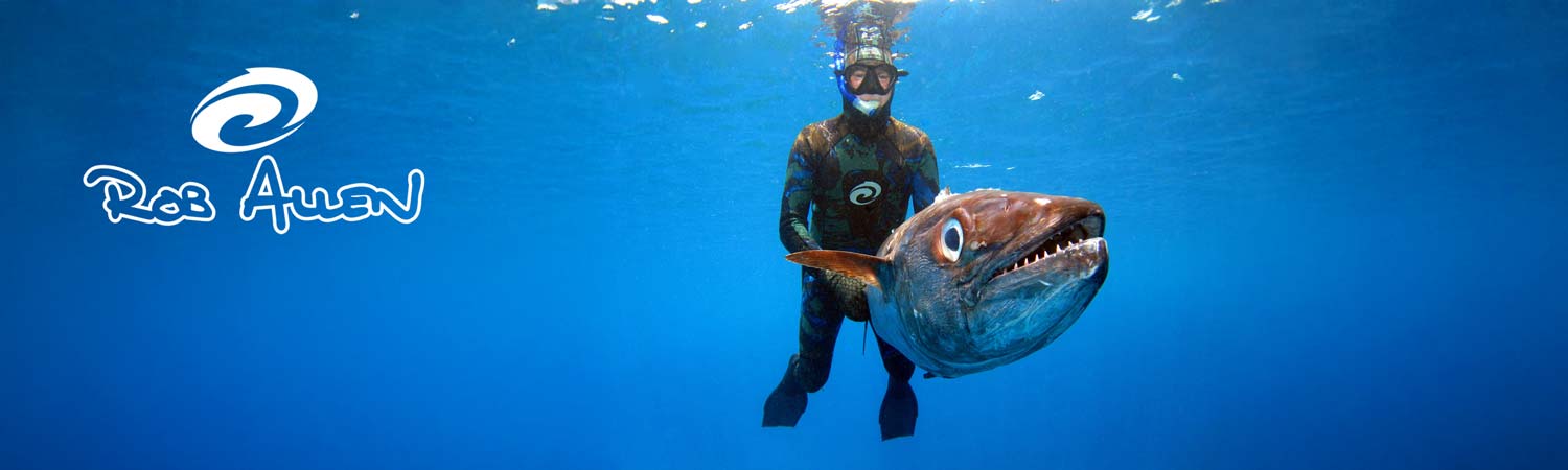 Rob Allen Desktop Banner Image