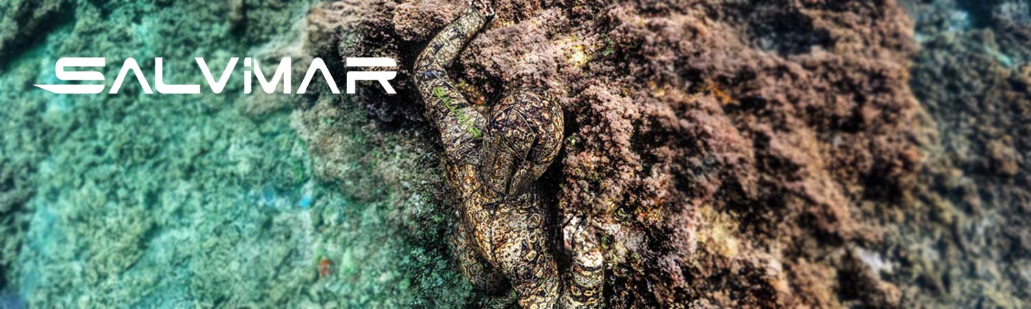 Salvimar Desktop Banner Image