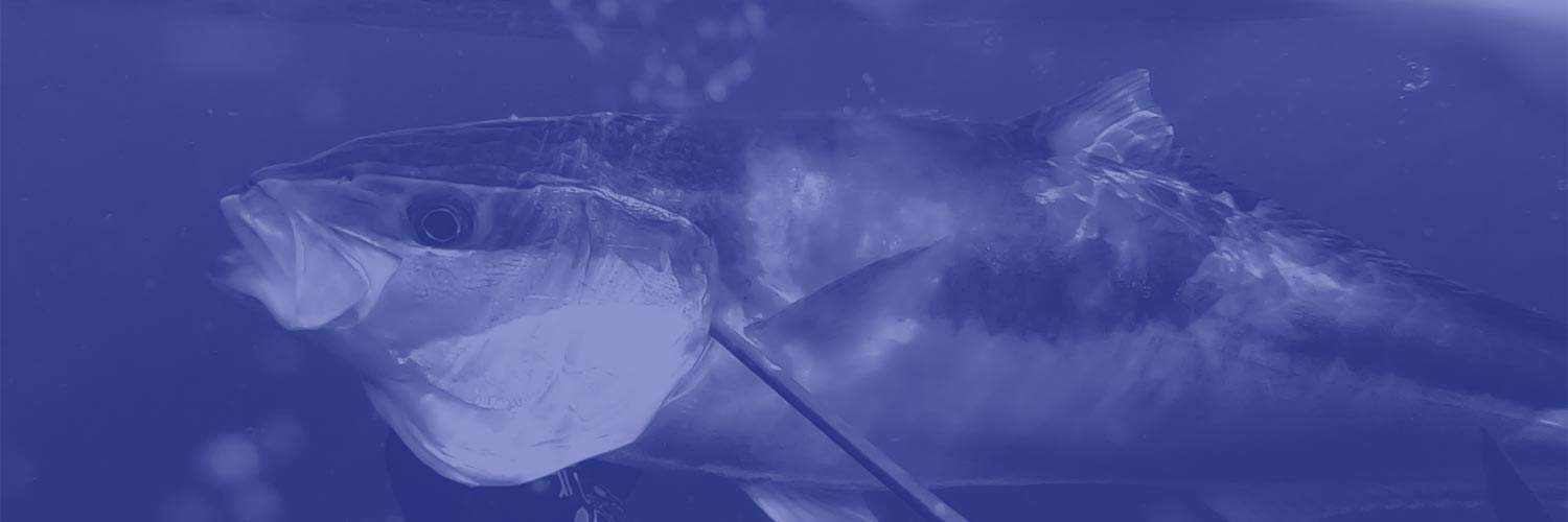 Spearfishing Blogs Desktop Banner Image