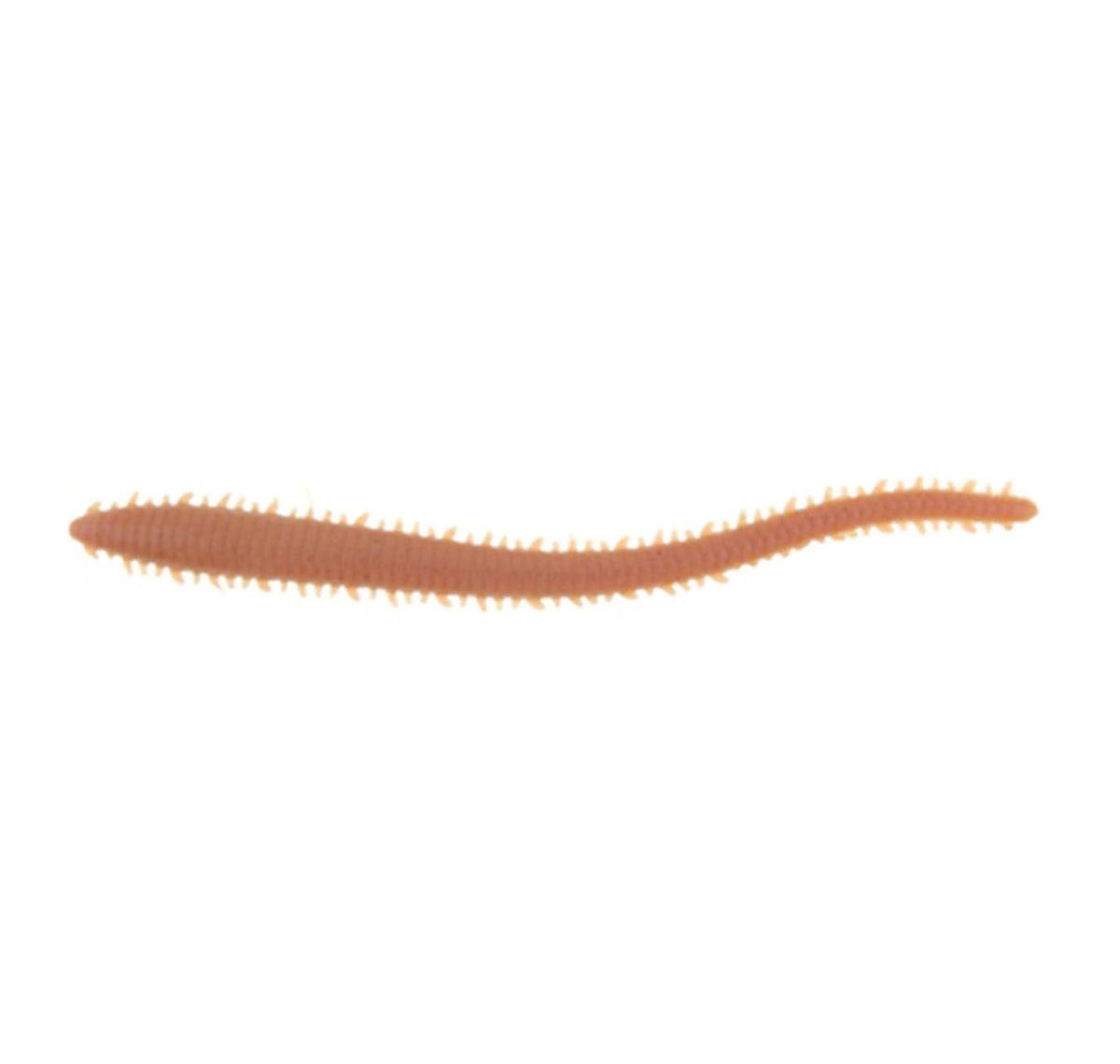 Berkley Gulp Sandworm 6&quot; Soft Plastics Natural
