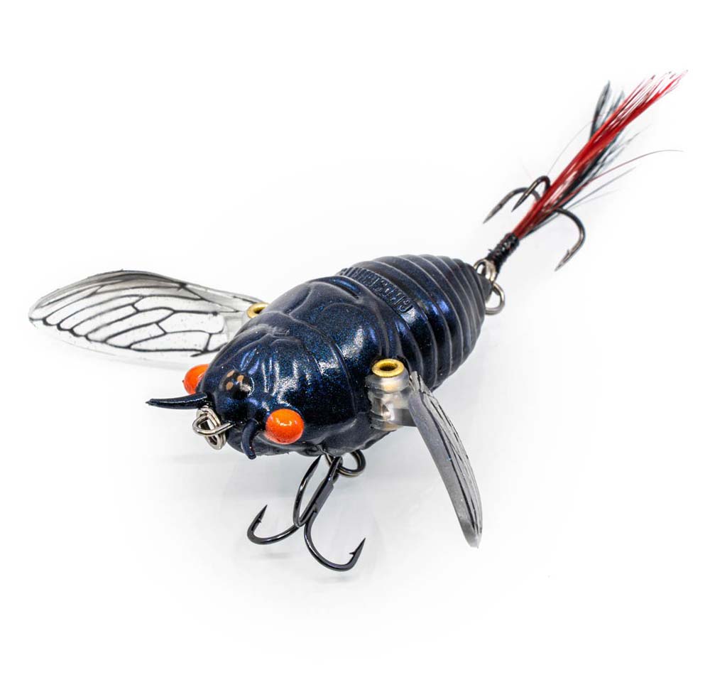 Chasebaits Ripple Cicada Lure  O1 Red Eye