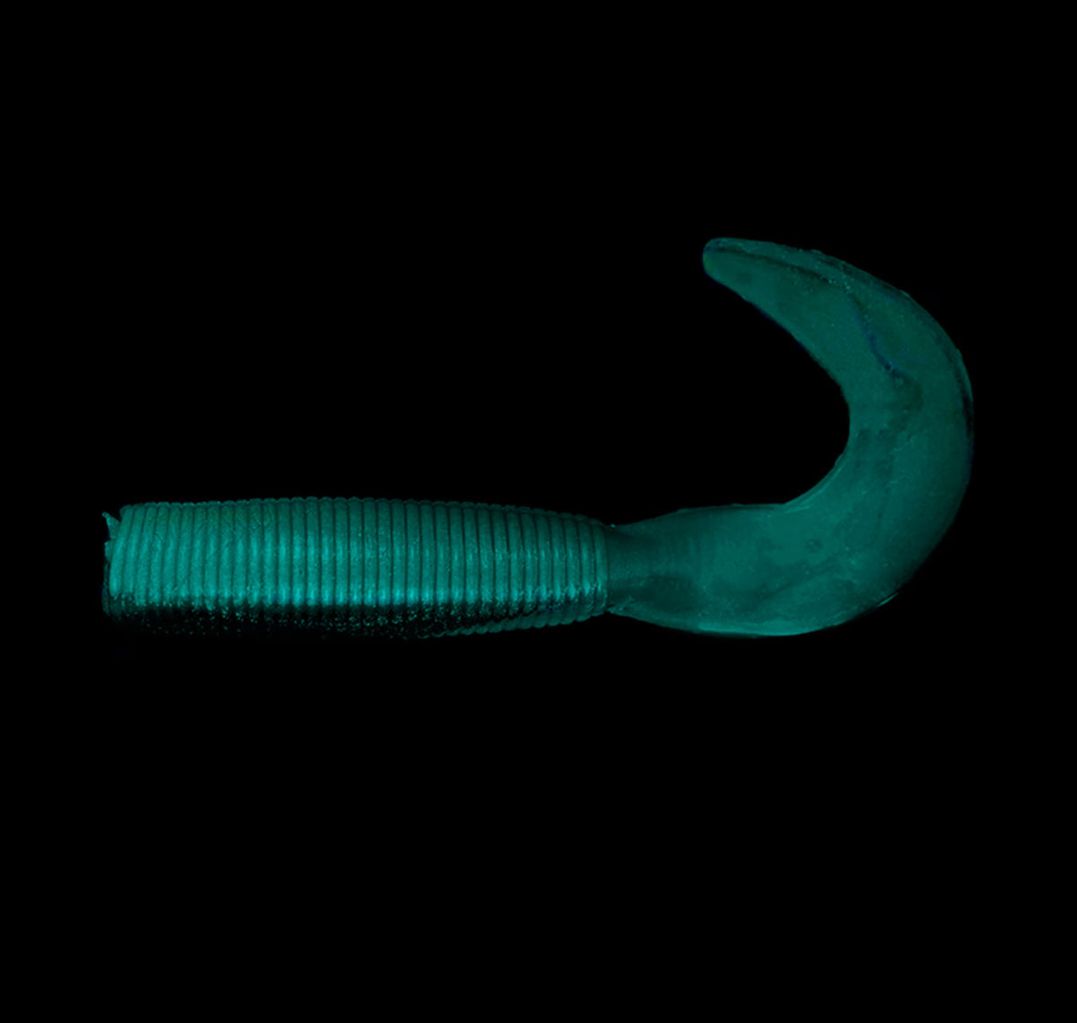 2.5&quot; Grub Ayu Under UV Light