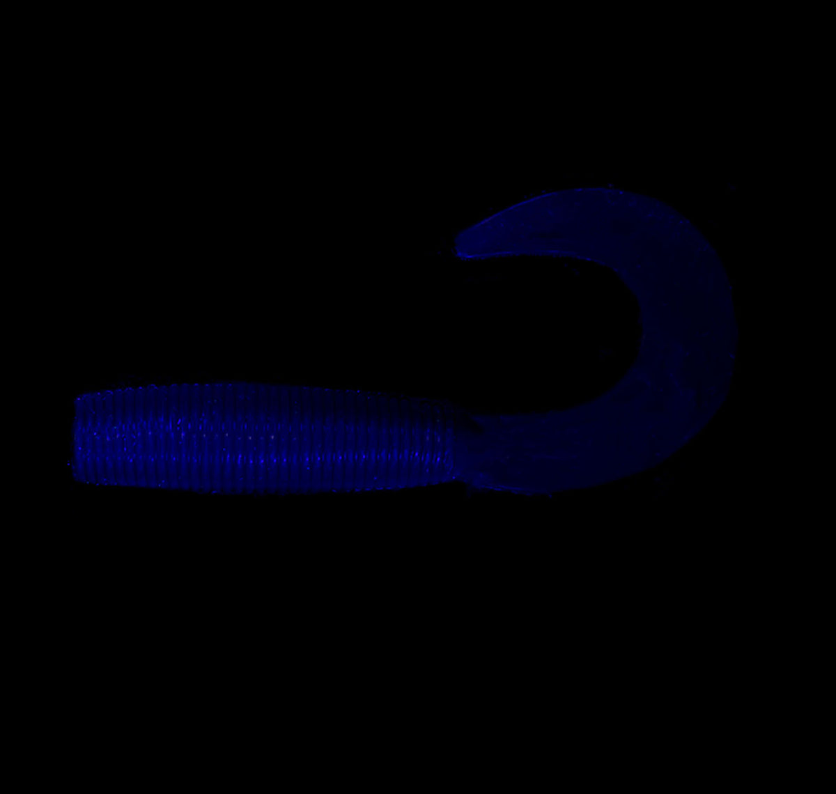 2.5&quot; Grub Black UV Under UV Light