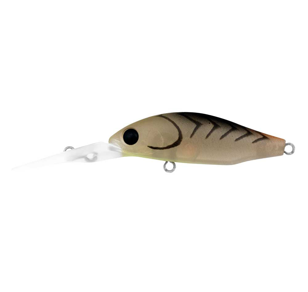 Daiwa infeet spike MR lure colour matte prawn