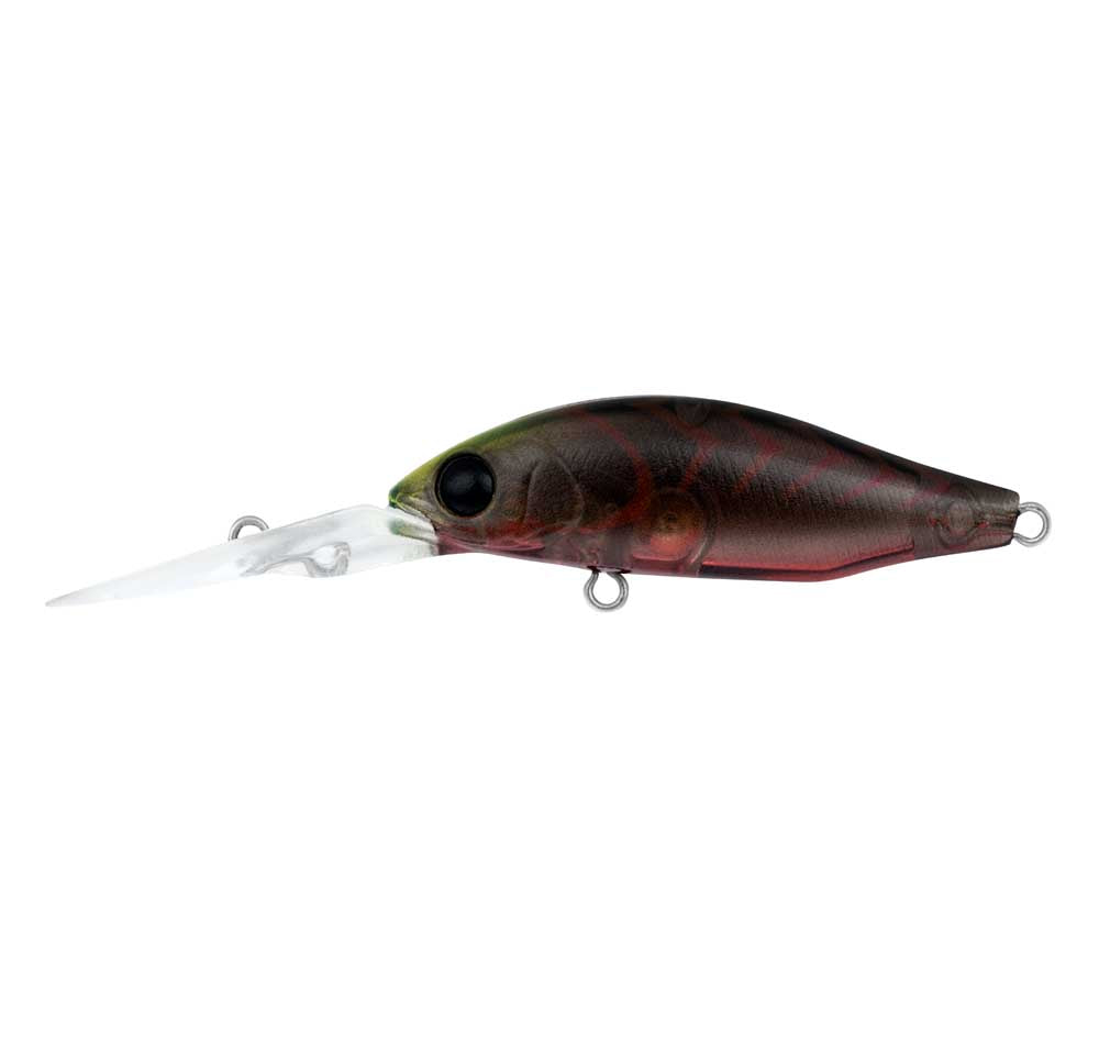 Daiwa infeet spike 44 MR lure colour suji berry