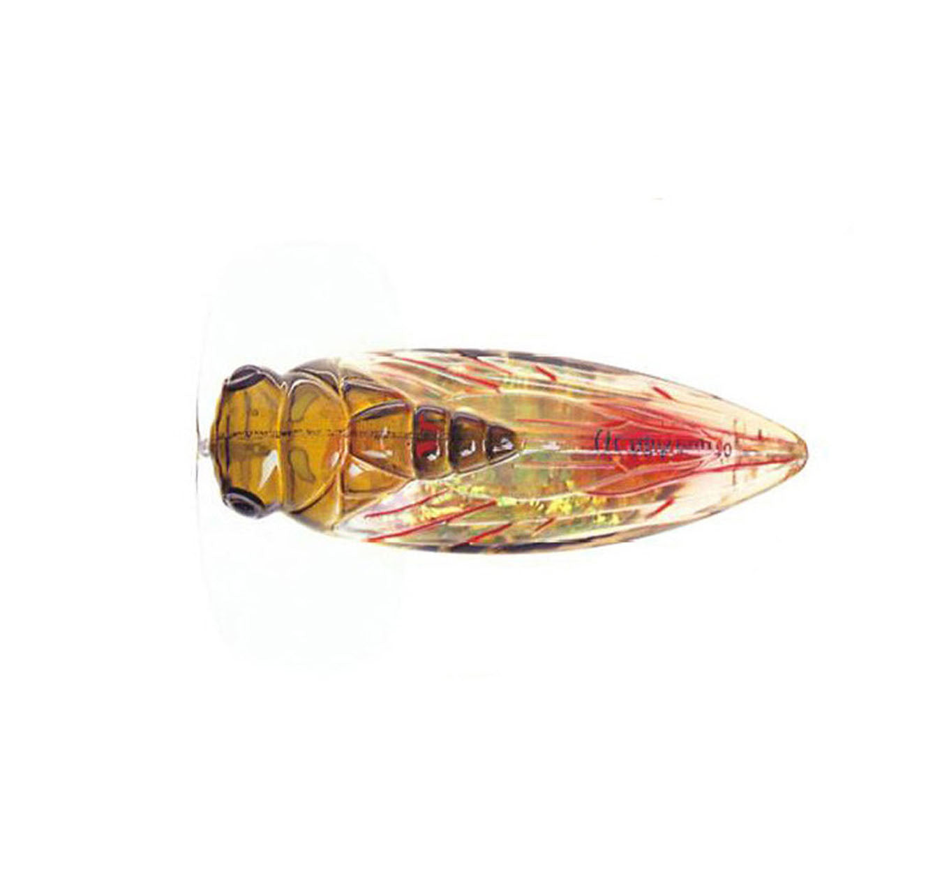 River2Sea Cicada Pop Lure Col CP-04